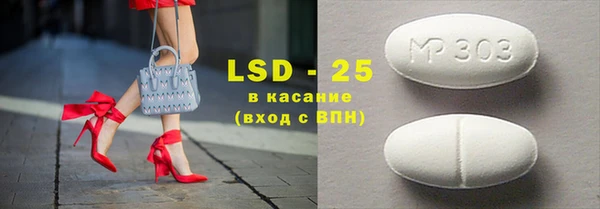 индика Приозерск