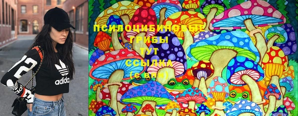 spice Володарск