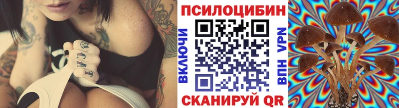 Псилоцибиновые грибы Magic Shrooms  где найти наркотики  Гаджиево 